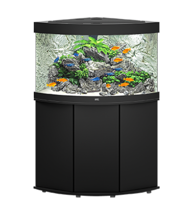 WARRANTY INCLUDED! 170 gallon GLASS bow front aquarium fish tank