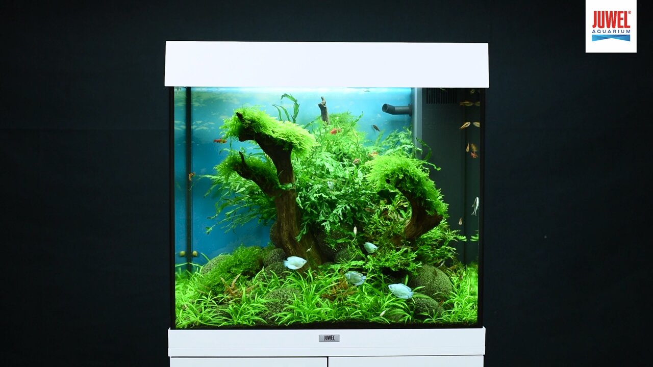 Juwel Aquarium LED Trigon 350 avec Meuble - Boutique en ligne Olibetta