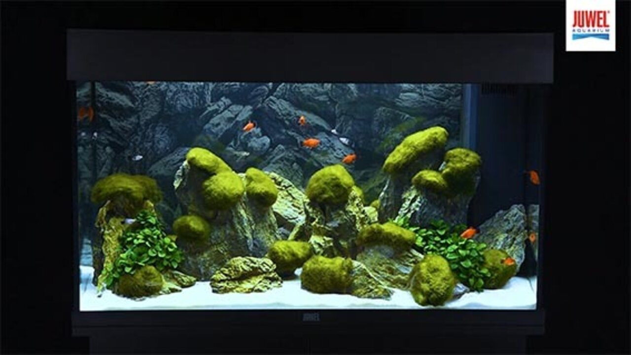 Juwel rio 240 led aquarium (2 x led 1047 mm) blanc